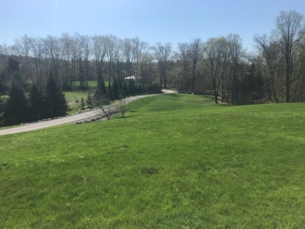 487 Sheldon Road Fitchburg, MA 01420 - Photo 9 of 27 a backyard of a house with lots of green space