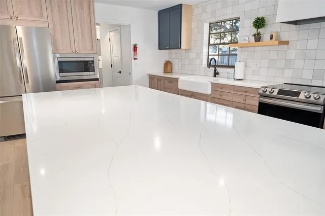 a view of a yard with plants and a large tree