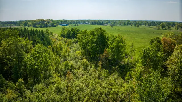 $350,000 | 47577 367th Place, Palisade, MN 56469