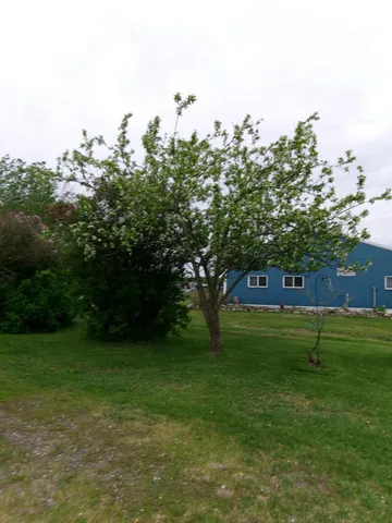 $350,000 | 47577 367th Place, Palisade, MN 56469