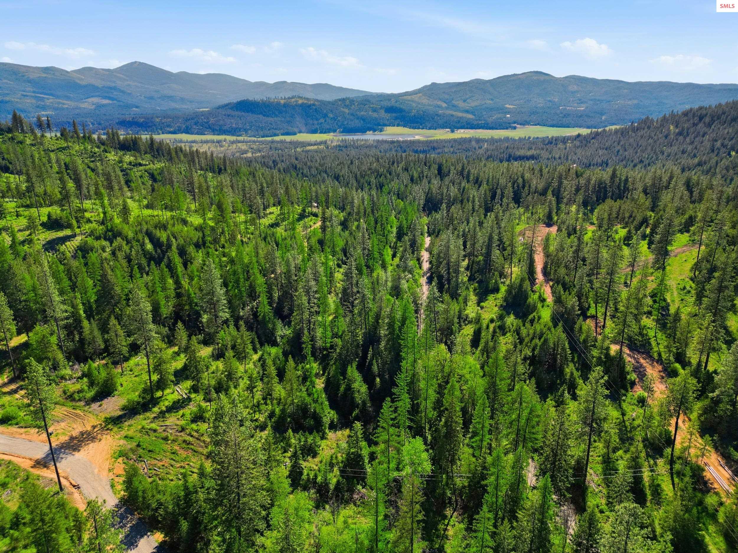 Nka Nka Stone Road Blanchard, ID 83804 - Photo 16 of 29 Gallery Image 16