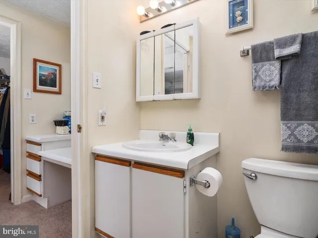 a bathroom with a sink toilet and mirror