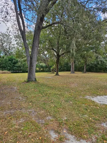 a view of outdoor space with trees all around
