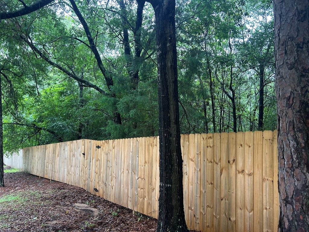 0 Holmes Road Newton, AL 36352 - Photo 6 of 8