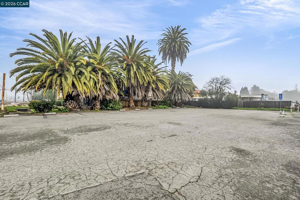 3466 Willow Pass Road Concord, CA 94519 - Photo 22 of 24 a view of road and palm trees