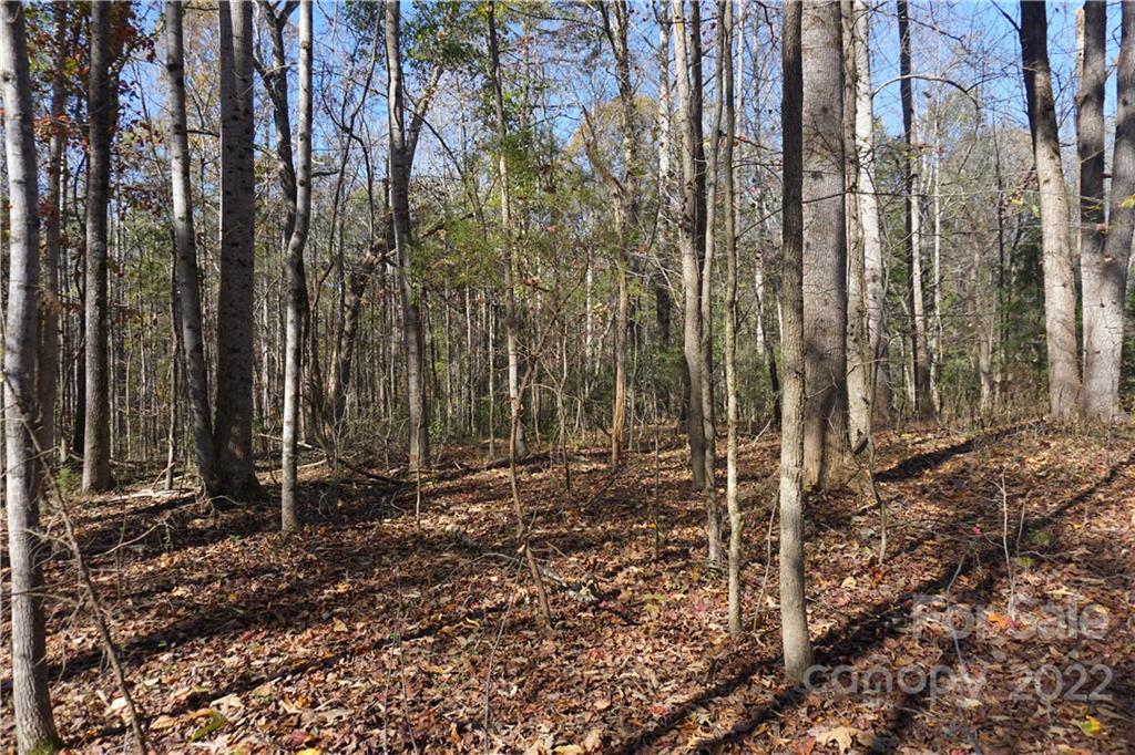 10.64-ac Burree Road Clover, SC 29710 - Photo 12 of 18 a view of a backyard