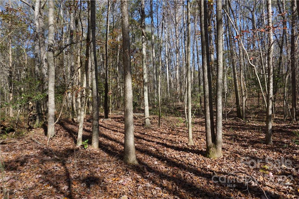 10.64-ac Burree Road Clover, SC 29710 - Photo 17 of 18 a green field with lots of trees