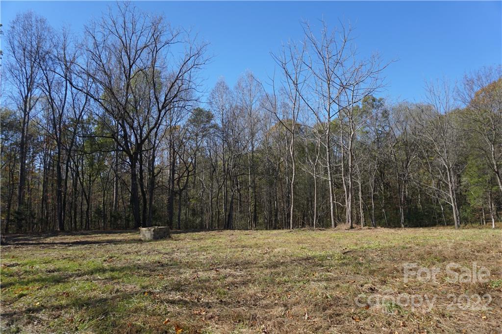10.64-ac Burree Road Clover, SC 29710 - Photo 4 of 18 a view of a backyard