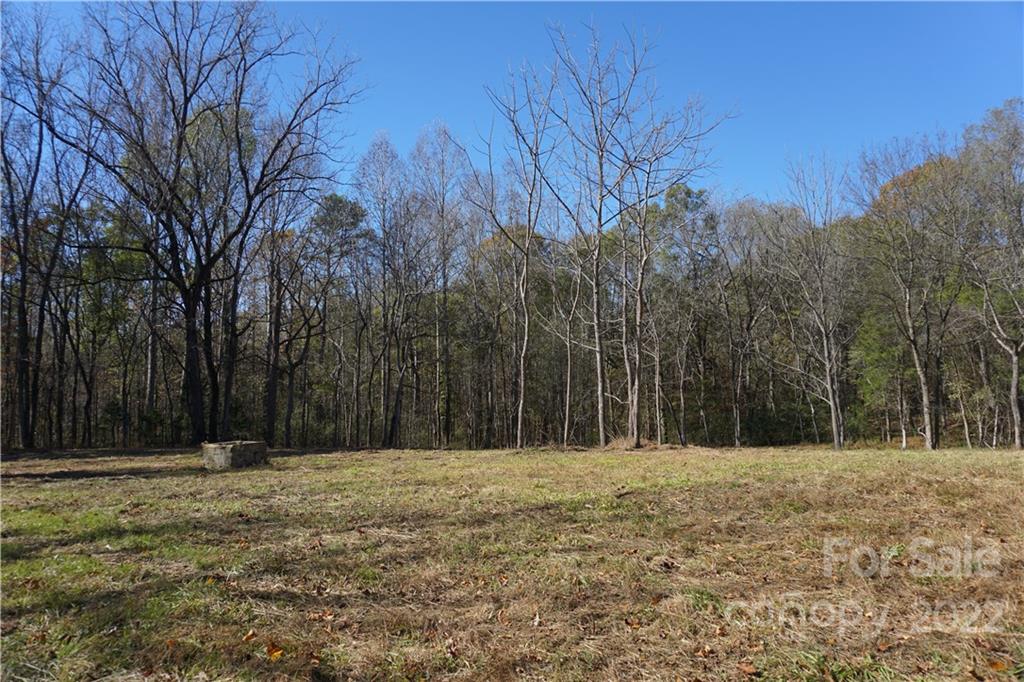 10.64-ac Burree Road Clover, SC 29710 - Photo 5 of 18 a house view with backyard space