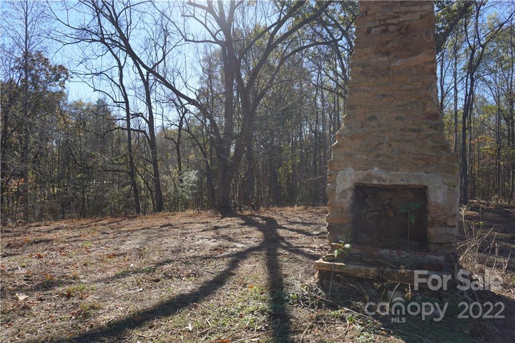 10.64-ac Burree Road Clover, SC 29710 - Photo 6 of 18 a view of a yard with trees