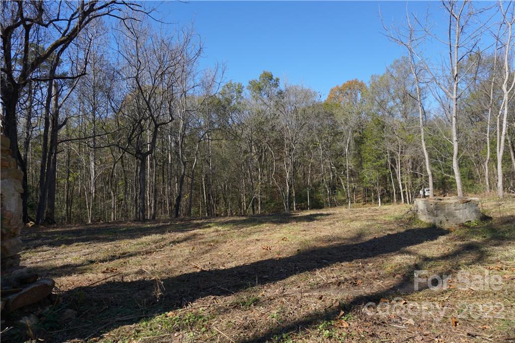 10.64-ac Burree Road Clover, SC 29710 - Photo 8 of 18 a view of a backyard with large trees
