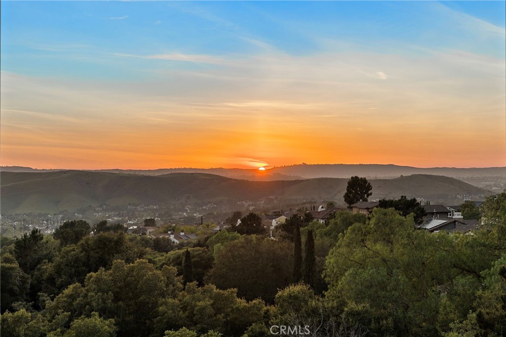 2 Galaxy Isle Ladera Ranch, CA 92694 - Photo 45 of 69