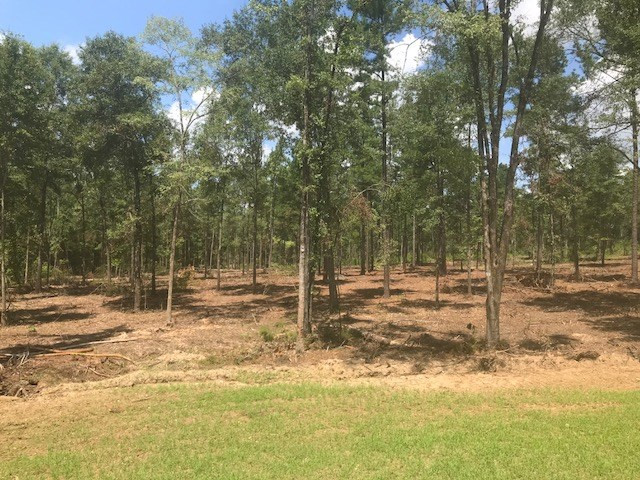 737 Louisville Road Grovetown, GA 30813 - Photo 2 of 6