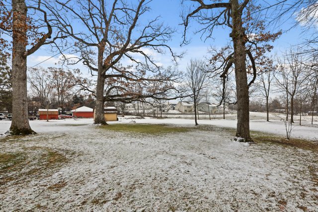 28W777 Garys Mill Road Winfield, IL 60190 - Photo 33 of 47 a view of a yard with a tree