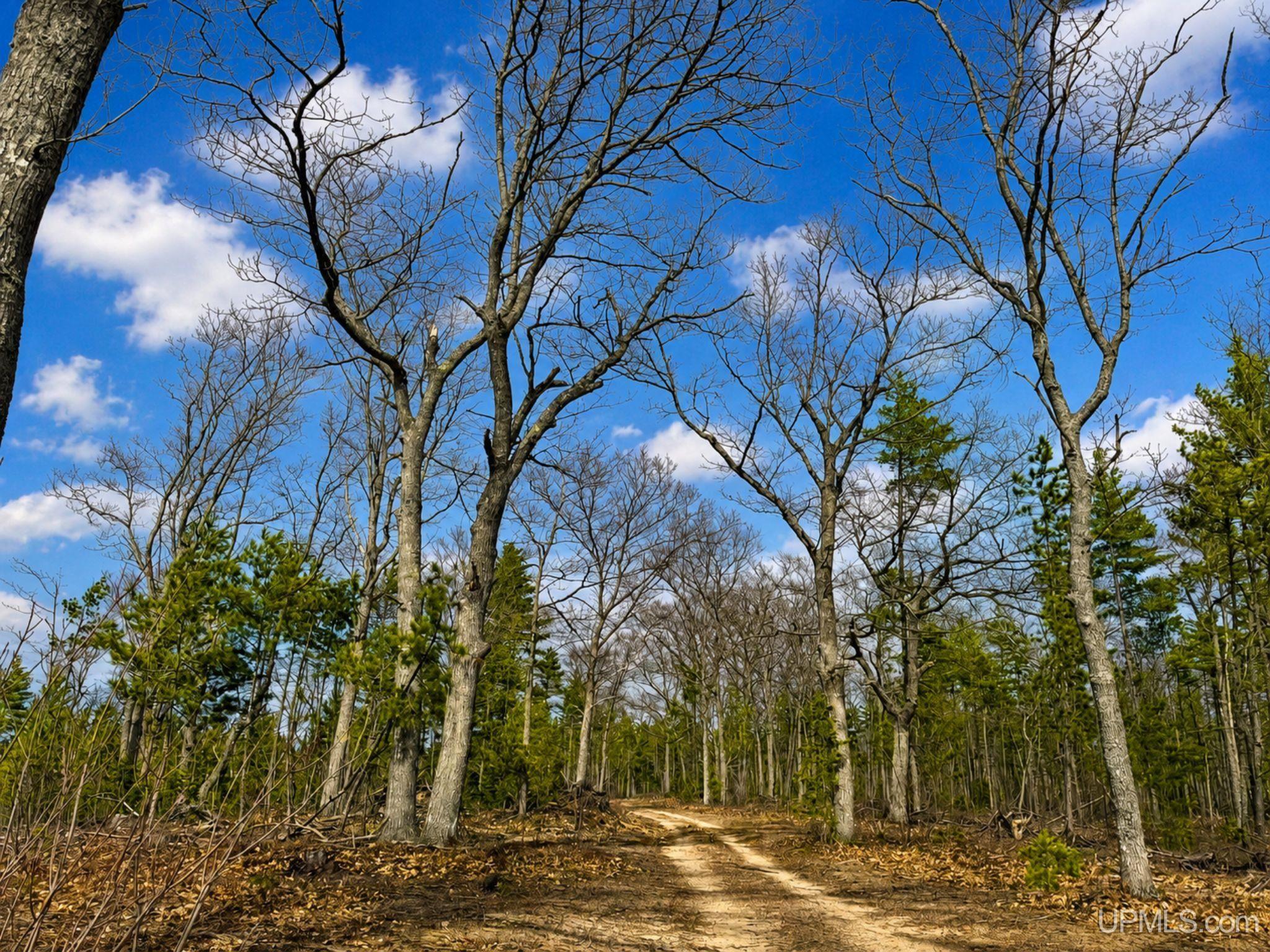 410 Rd Newberry Mi 49868 Road Newberry, MI 49868 - Photo 15 of 36