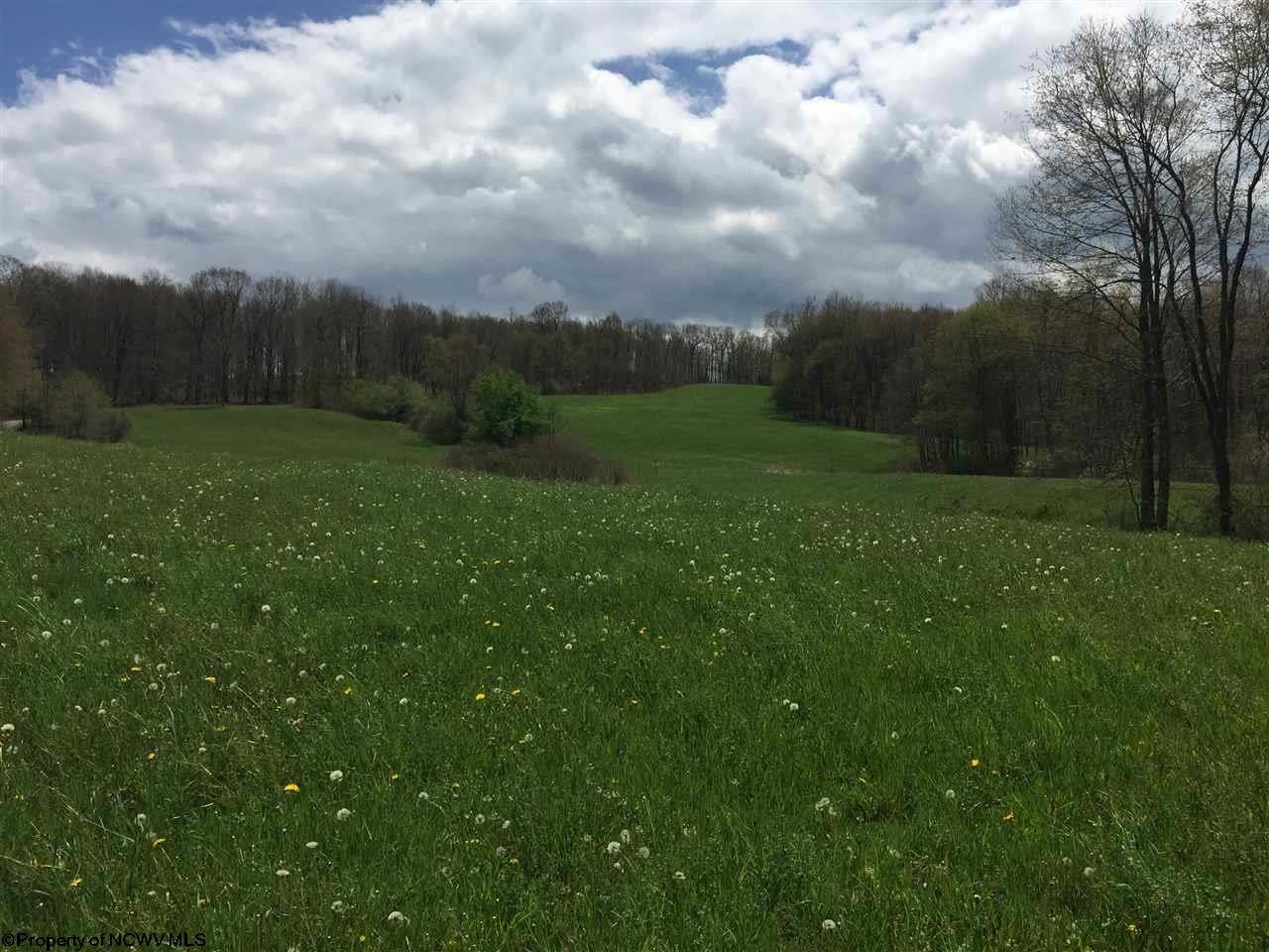 Tbd Shady Grove Road Mount Nebo, WV 26679 - Photo 3 of 5 Gallery Image 3