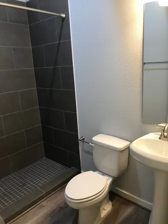 a bathroom with a toilet and a shower