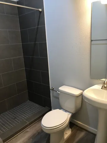 a bathroom with a toilet and a shower