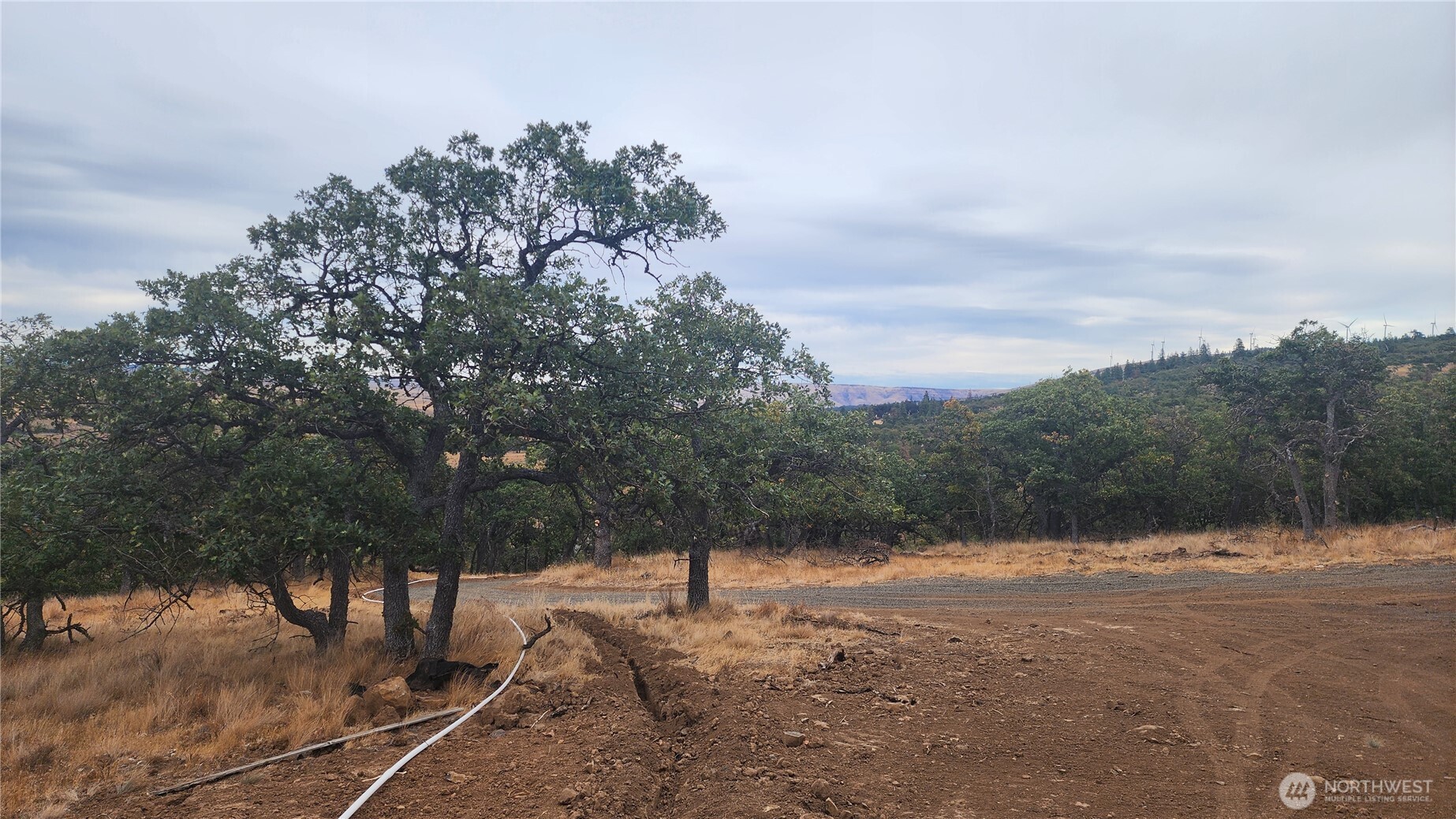 295 Oak Flat Road Goldendale, WA 98620 - Photo 1 of 11 a view of a yard with trees