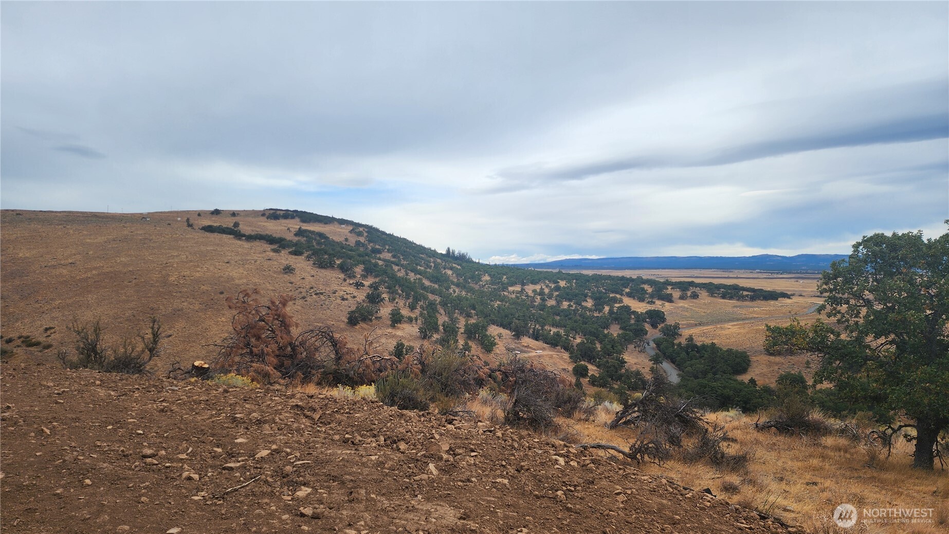 295 Oak Flat Road Goldendale, WA 98620 - Photo 3 of 11 a view of a dry yard