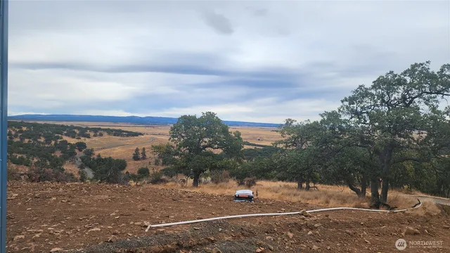 a view of a town with trees