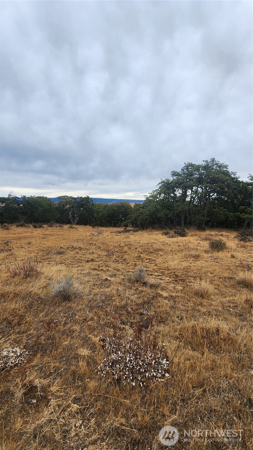 295 Oak Flat Road Goldendale, WA 98620 - Photo 5 of 11