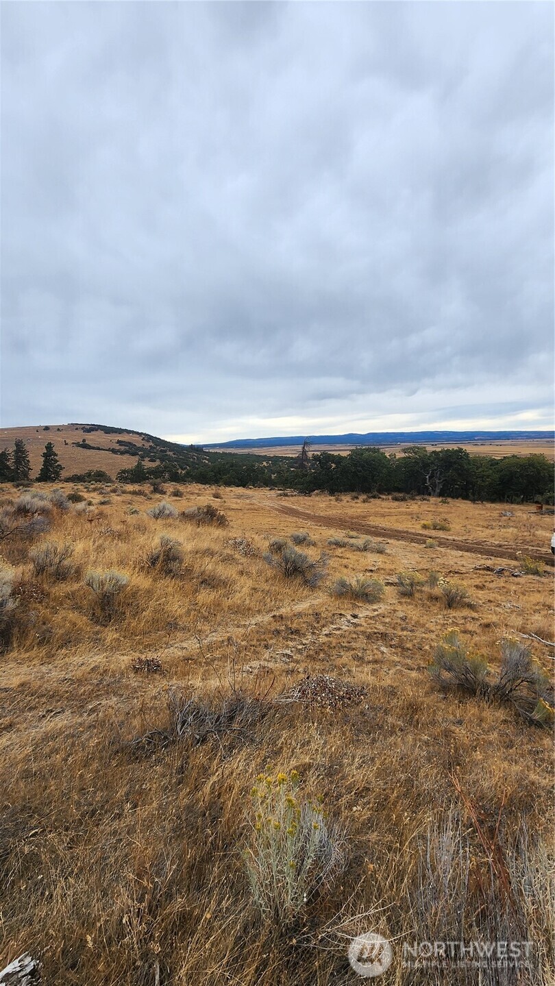 295 Oak Flat Road Goldendale, WA 98620 - Photo 6 of 11 a view of an ocean