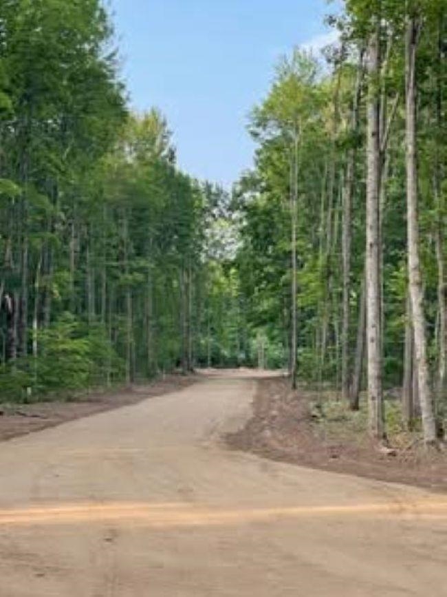 Lot 8 Northeast Manistee Ridge Drive Ne Kalkaska, MI 49646 - Photo 4 of 8