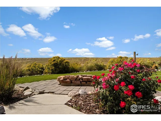 a view of a lot of flowers