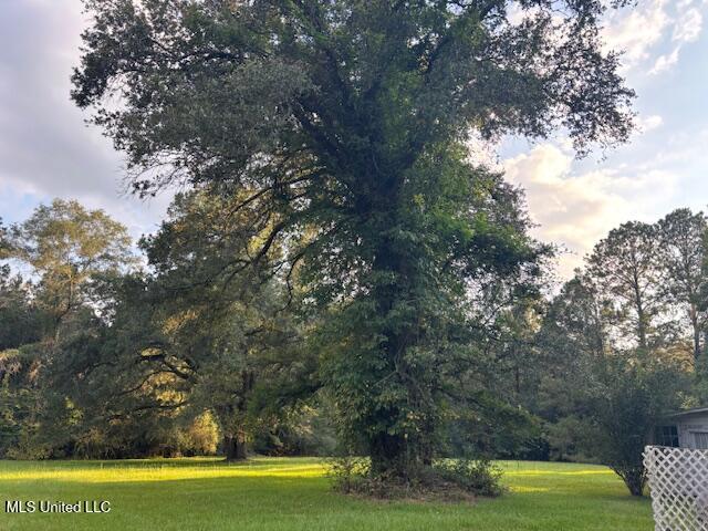 2028 Smithburg Road Osyka, MS 39657 - Photo 12 of 33 IMG_5091