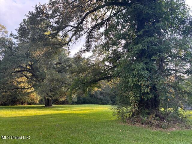 2028 Smithburg Road Osyka, MS 39657 - Photo 13 of 33 IMG_5093