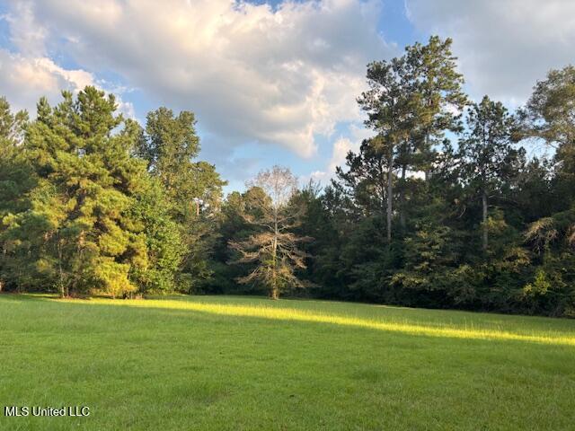 2028 Smithburg Road Osyka, MS 39657 - Photo 14 of 33 IMG_5094