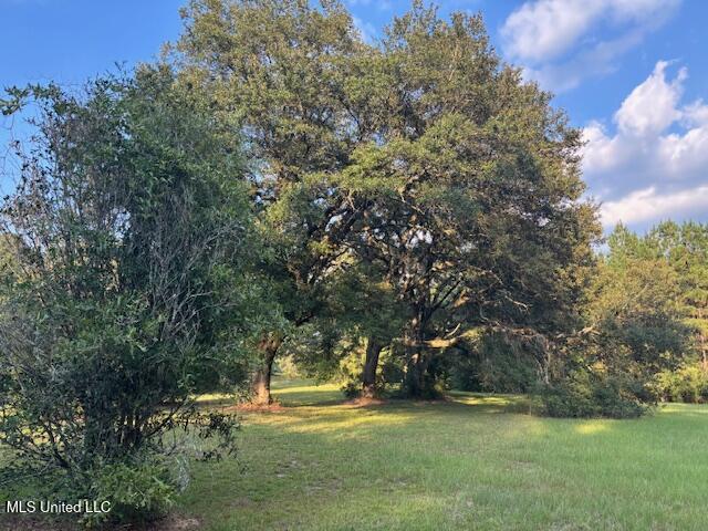 2028 Smithburg Road Osyka, MS 39657 - Photo 8 of 33 IMG_5087