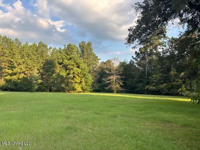 $179,900 | 2028 Smithburg Road, Osyka, MS 39657