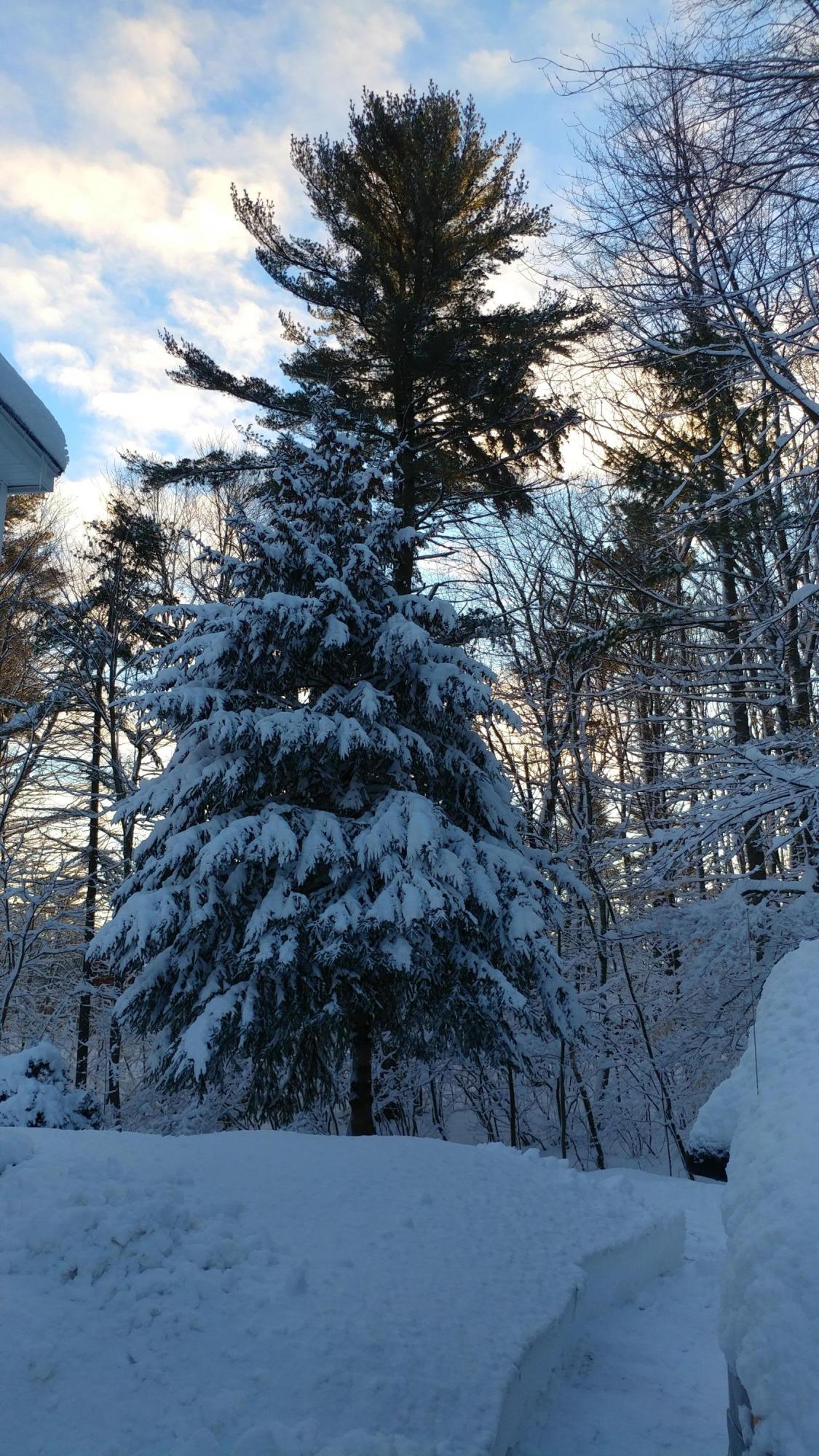 3 Wildbrook Lane Standish, ME 04084 - Photo 18 of 19 20180309_062958