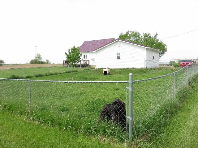 2532 North Messick Road New Castle, IN 47362 - Photo 27 of 30 Gallery Image 27