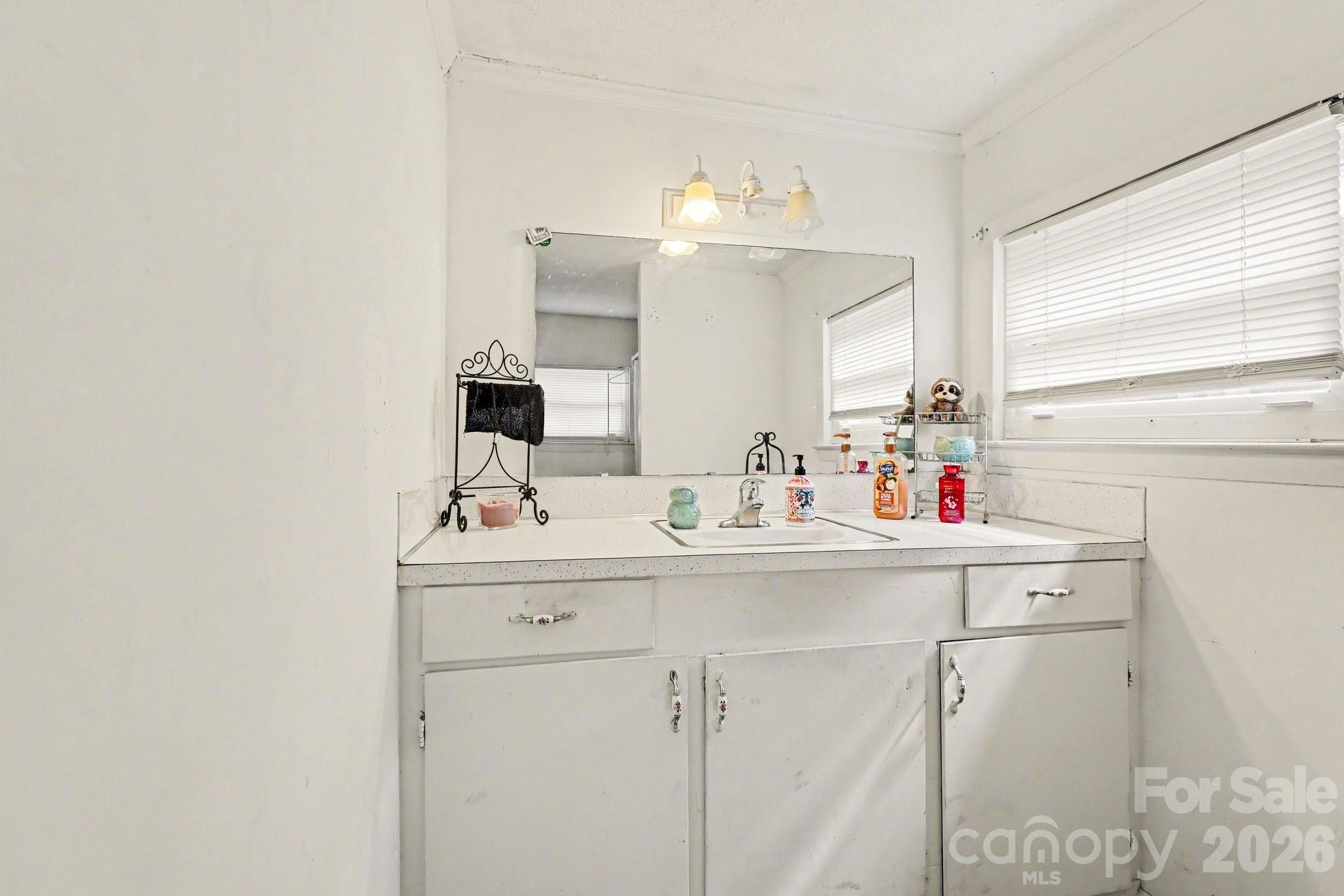 13721 Highway 601 Midland, NC 28107 - Photo 18 of 24 a bathroom with a sink and a mirror