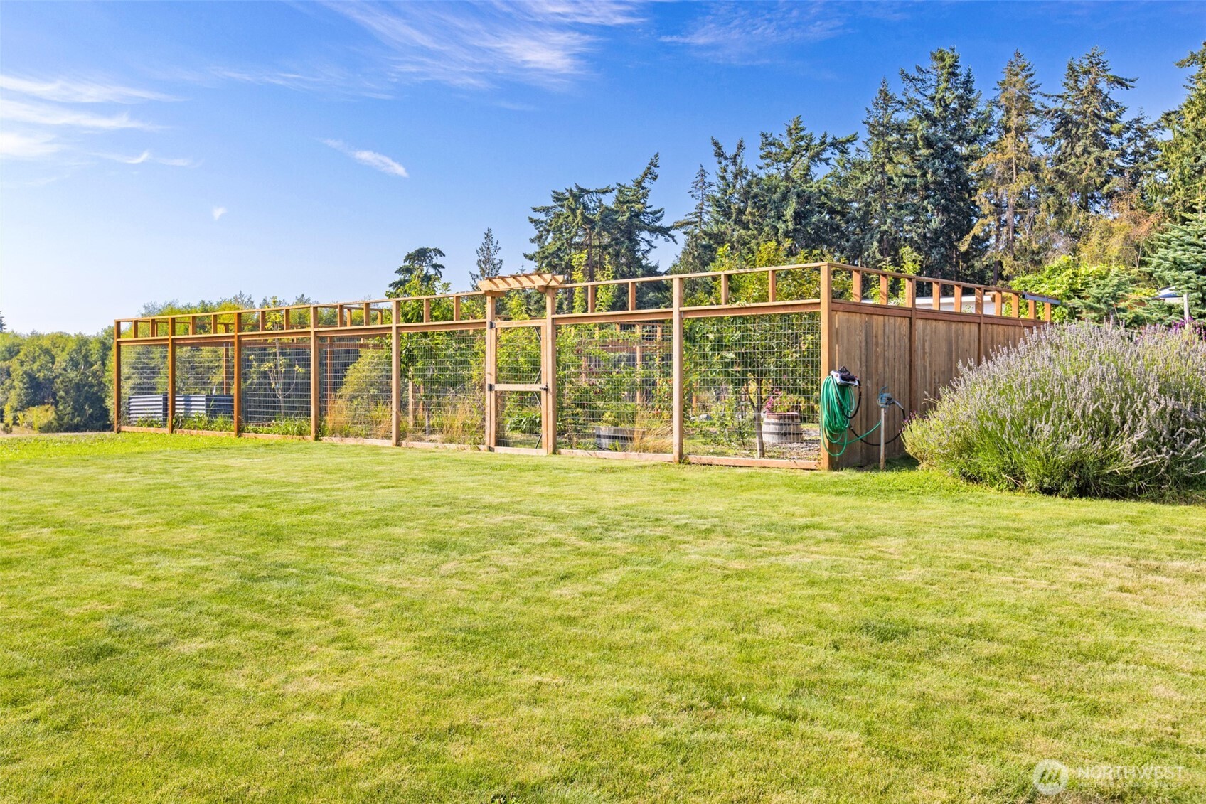 135 Edgington Drive Sequim, WA 98382 - Photo 5 of 40 a view of a trees with a yard