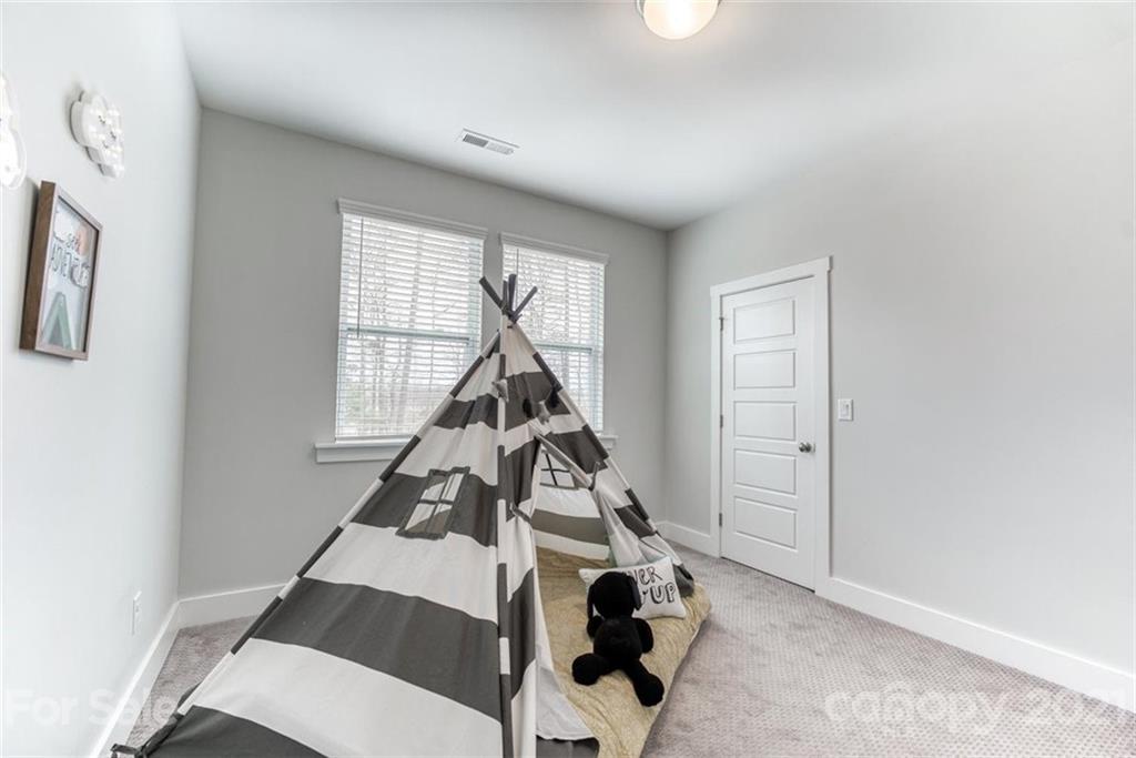 1703 Half Pint Loop Fort Mill, SC 29708 - Photo 27 of 43 Gallery Image 27
