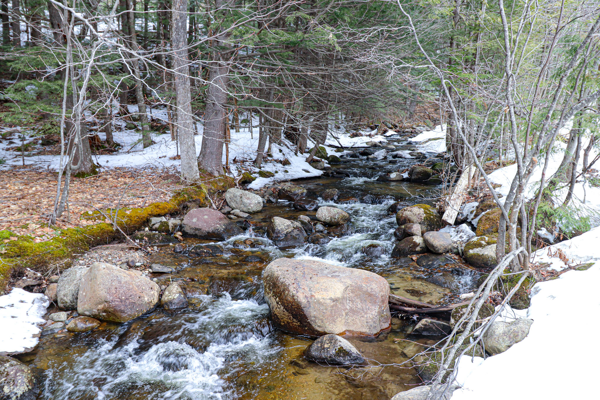 62 Coburn Brook Road Rumford, ME 04276 - Photo 30 of 34 IMG_4659