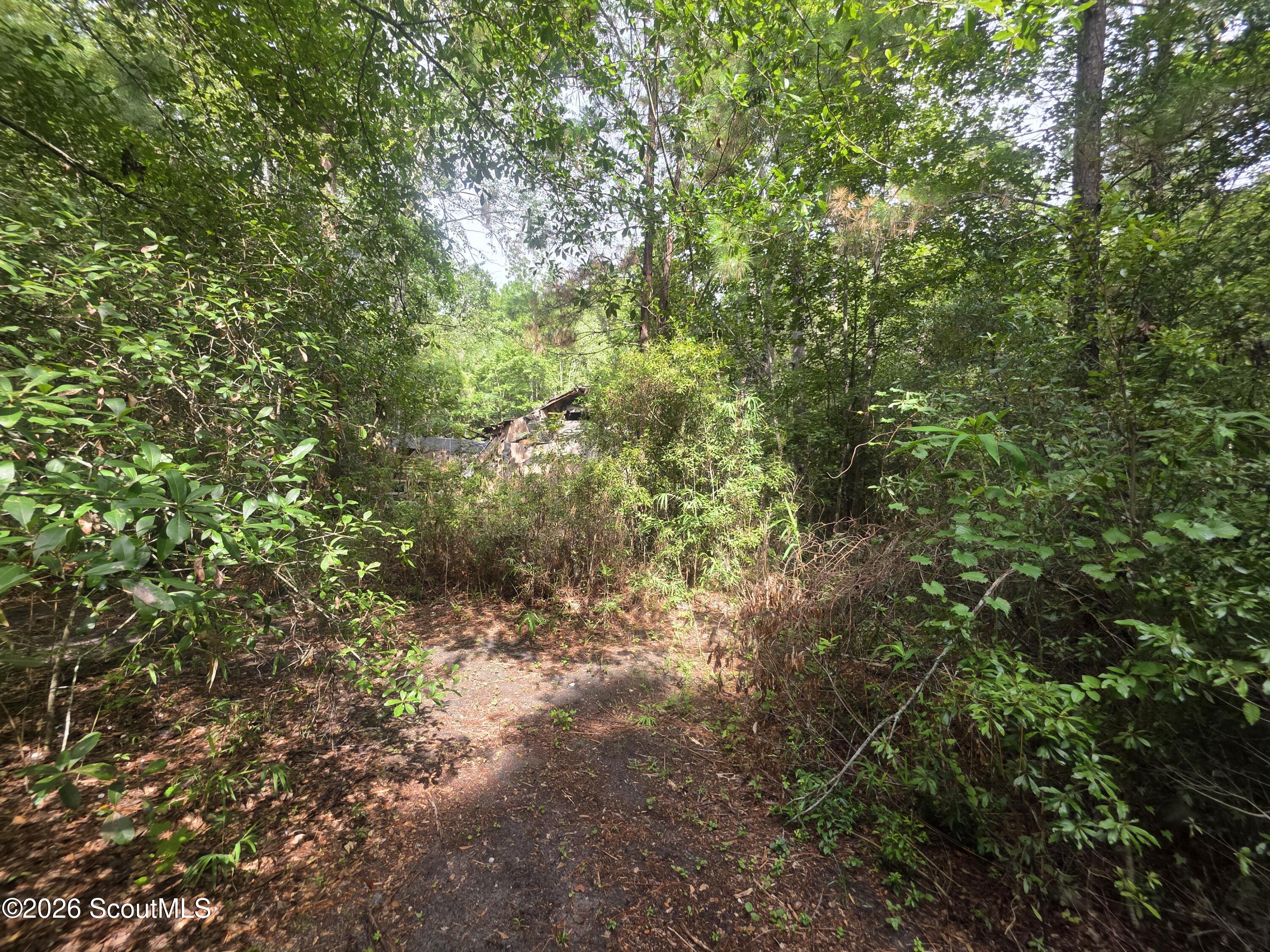 0 Cyprus Road Hortense, GA 31543 - Photo 14 of 19 20260809_103843