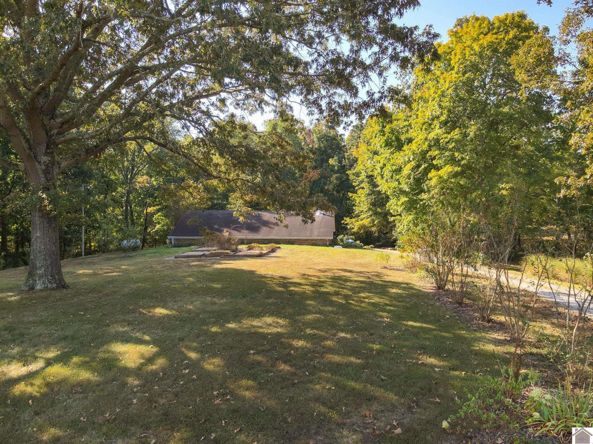 543 Temple Hill Road Almo, KY 42020 - Photo 3 of 40 Property