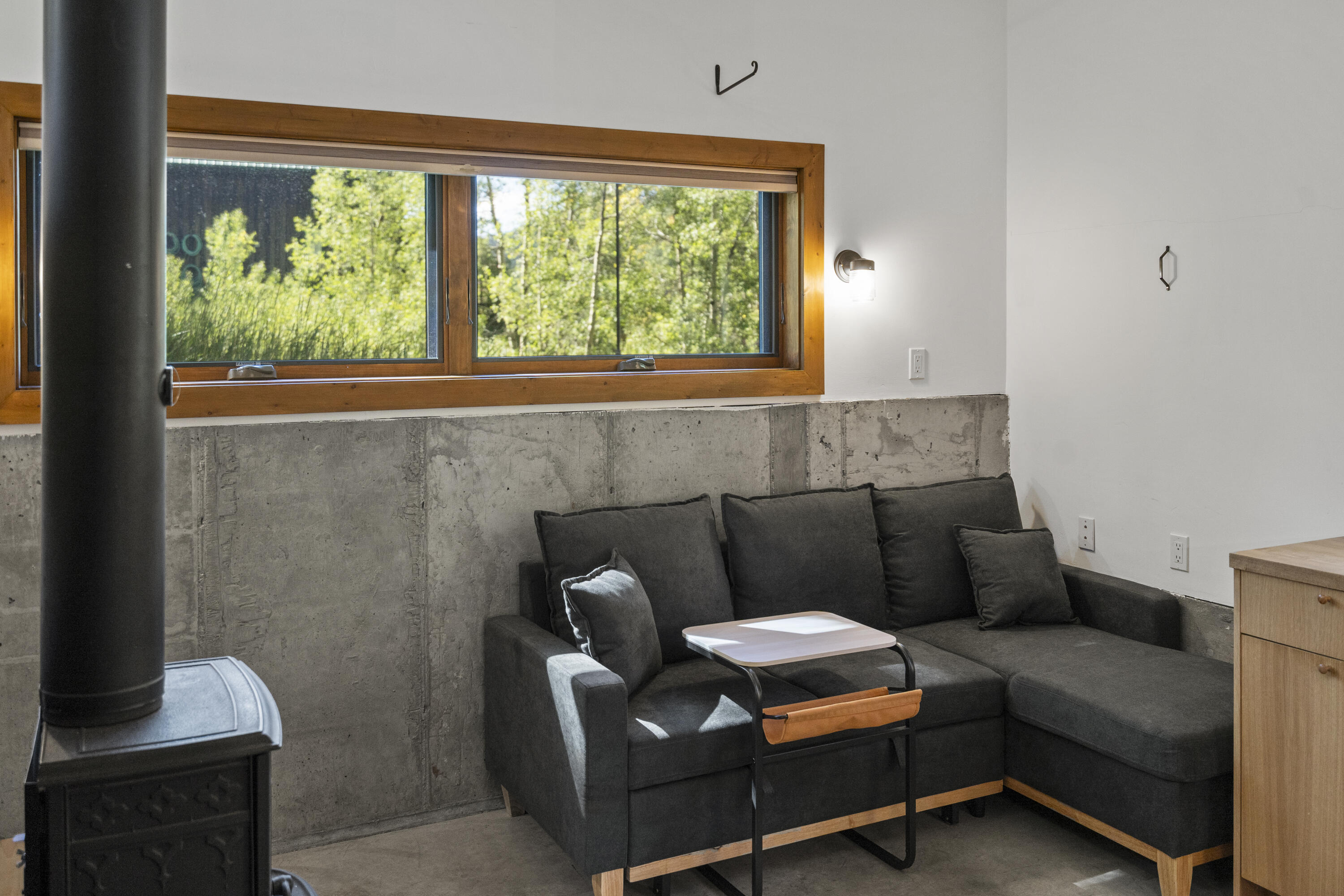 135 West Soda Street Rico, CO 81332 - Photo 4 of 48 DSC01341