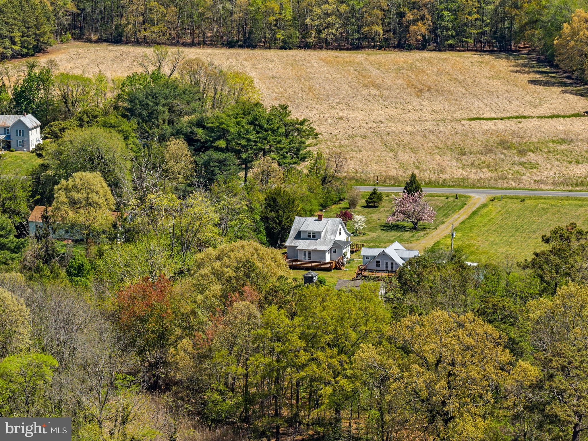 4809 Coles Point Road Hague, VA 22469 - Photo 46 of 49 Charming homes amidst lush greenery.