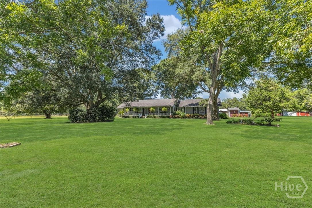 602 Hardee Road Ludowici, GA 31316 - Photo 6 of 75 Gallery Image 6