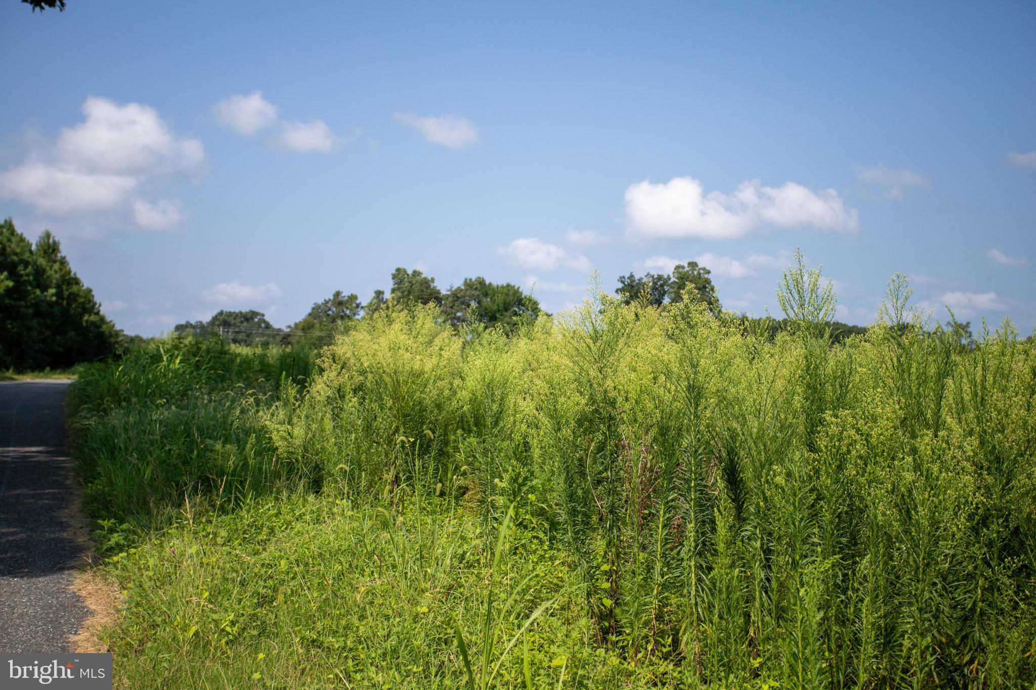 Tbd Old Well Road, Unit LOT 7 Phenix, VA 23959 - Photo 16 of 24