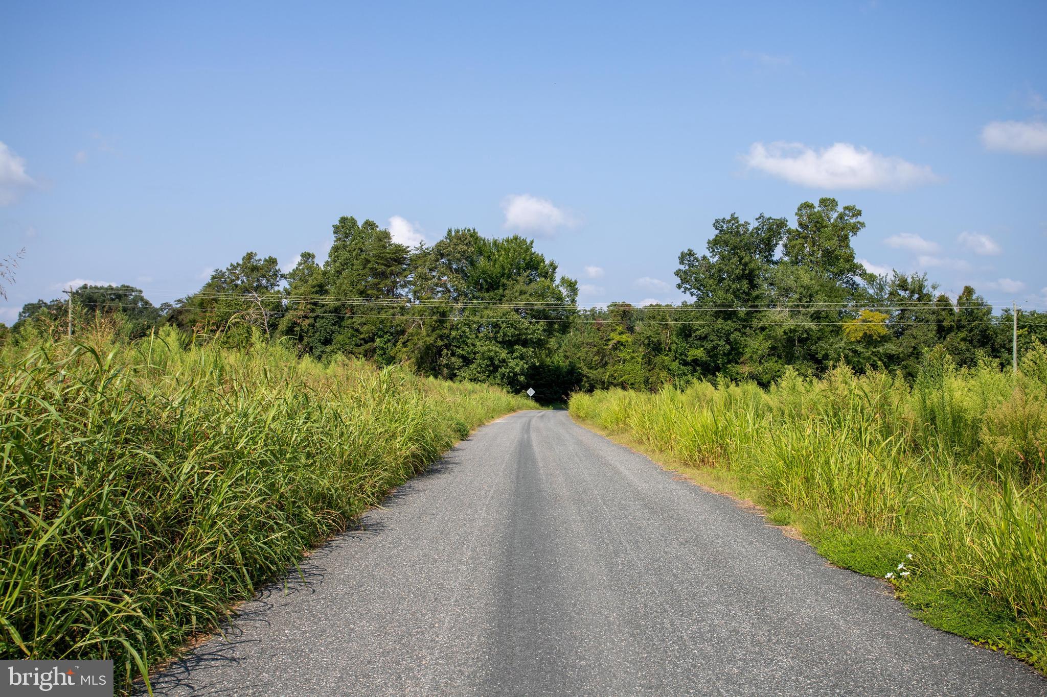 Tbd Old Well Road, Unit LOT 7 Phenix, VA 23959 - Photo 20 of 24