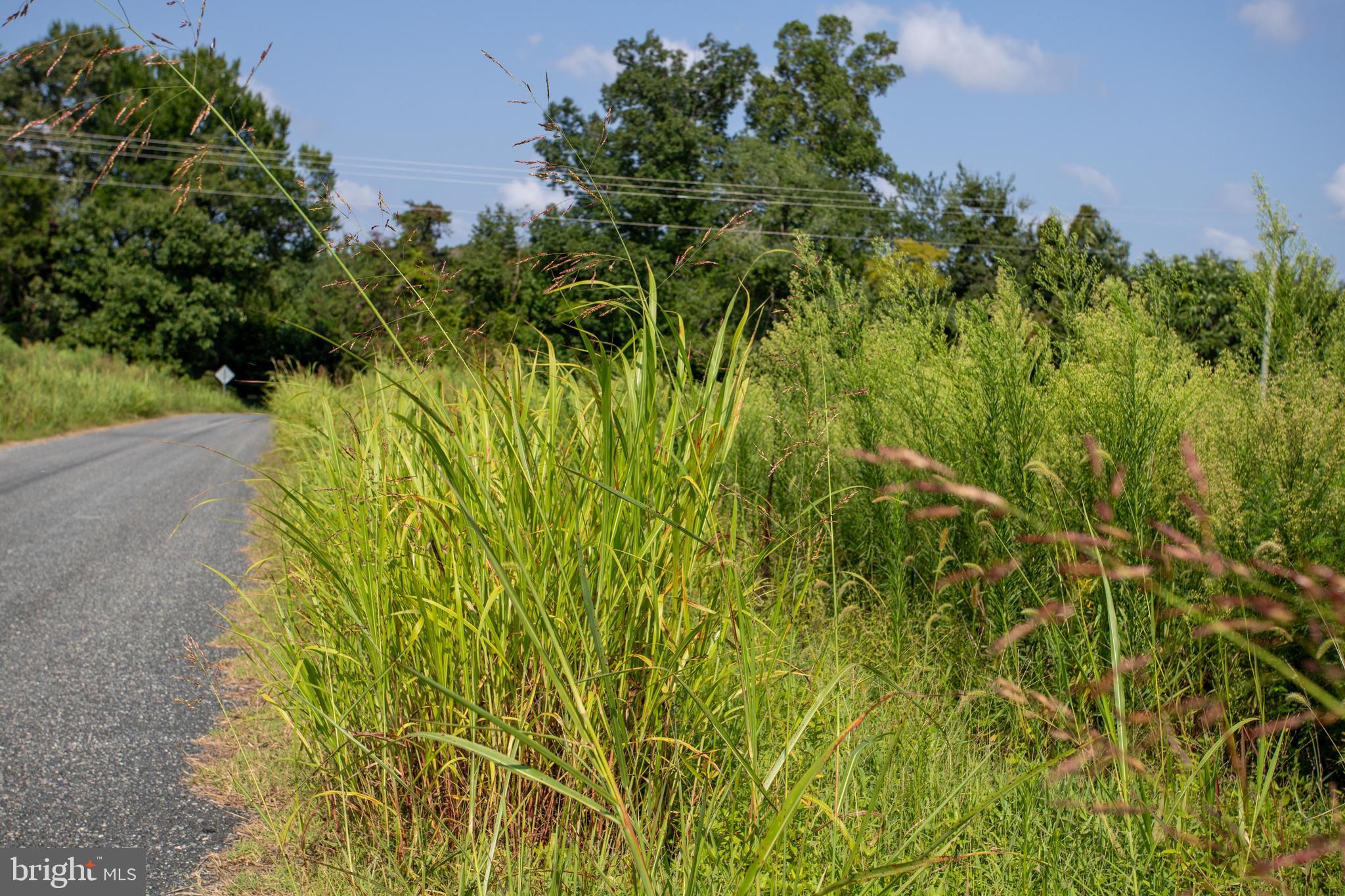 Tbd Old Well Road, Unit LOT 7 Phenix, VA 23959 - Photo 3 of 24