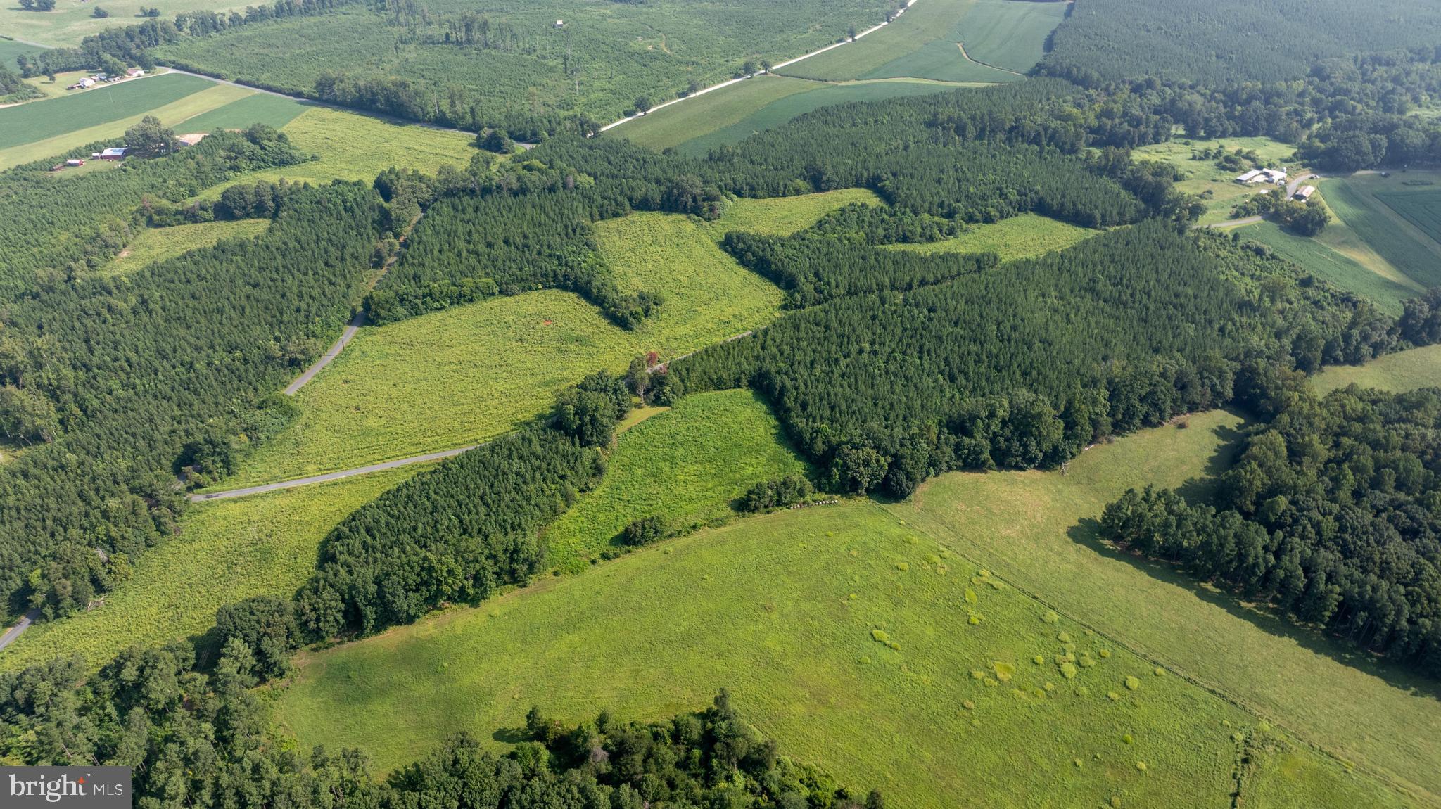 Tbd Old Well Road, Unit LOT 7 Phenix, VA 23959 - Photo 5 of 24