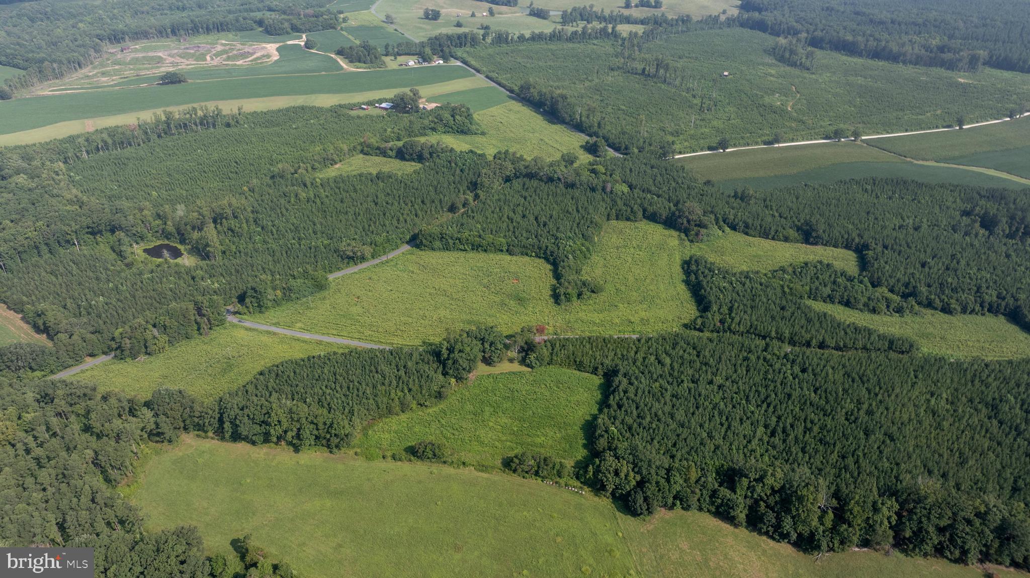 Tbd Old Well Road, Unit LOT 7 Phenix, VA 23959 - Photo 7 of 24